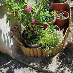 Monolocali Tra Rieti E E Del Salto アパート *