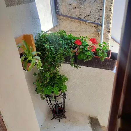 Monolocali Tra Rieti E E Del Salto Apartamento Terminillo