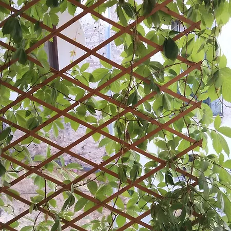 Monolocali Tra Rieti E E Del Salto Appartement Terminillo