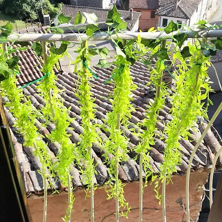 Apartamento Monolocali Tra Rieti E E Del Salto Terminillo